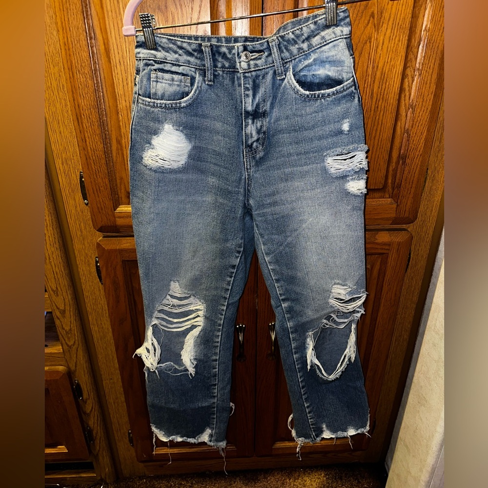Flying Monkey Distressed Cropped Jeans